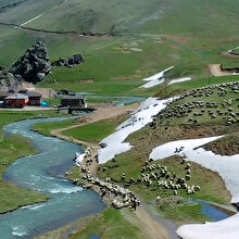 Gümüşhane'nin Taşköprü Yaylası’ndan kaydedilen büyüleyici görüntüler