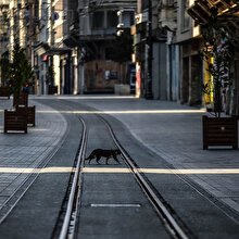 Sokağa çıkma yasağının detayları belli oldu