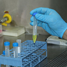 Bilim insanları, koronavirüsün en erken belirtisini buldu