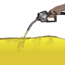 Petrol var bilim adamı yok