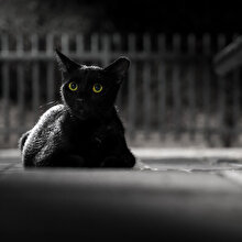 Poe’nun mirası