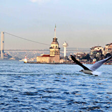 İstanbul Boğazı'nda denizin yüzeyi balıkla kaplandı