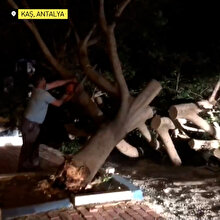 Antalya'da fırtına ağaçları kökünde söktü, teknelerin halatlarını kopardı