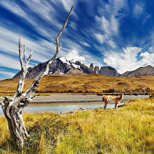 Dünyanın uçlarında yürümek: Torres del Paine