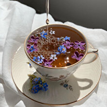 Bugün hangisiyle sakinleşelim? 🍵