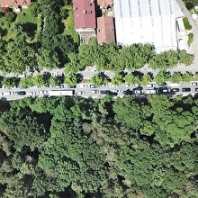 Babalar Günü'nde Belgrad Ormanı doldu taştı: Uzun araç kuyrukları oluştu