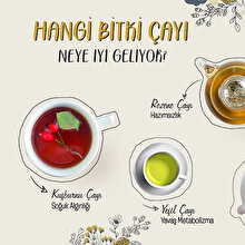 Hangi bitki çayı? 🍵