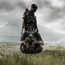 Netflix'ten yeni hamle: Virunga belgeseli film oluyor🦍