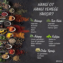 Hangi ot hangi yemeğe yakışır? 🌿