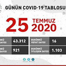 Günün COVID-19 tablosu açıklandı: Pnömonili hasta sayısı hangi illerde yükseldi?