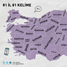81 il 81 kelime