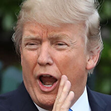 Trump'tan seçim yorumu: Oy pusulaları ölülere, kedi ve köpeklere gidiyor