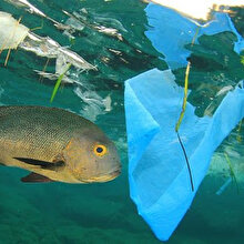 Deniz ve okyanuslardaki plastik kirliliği yeni salgınlara yol açabilir