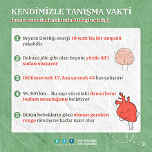 Kendimizle tanışma vakti