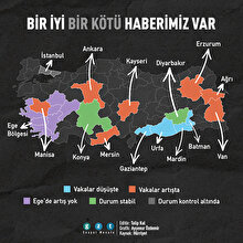 Vaka sayıları hangi illerde düşüşte, hangi illerde yükselişte?