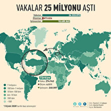 Dünya genelinde COVID-19 vakaları 25 milyonu geçti