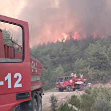 Hatay'da orman yangını yeniden başladı