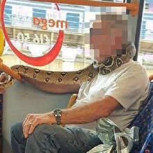 Otobüse binip, yılanı maske olarak kullandı