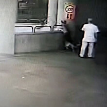 Köpeğiyle, kediyi sıkıştırıp ölümüne neden olan şahsa para cezası
