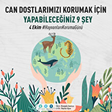 Bugün Dünya Hayvanları Koruma Günü