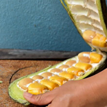 Ne olduğunu bilen var mı?