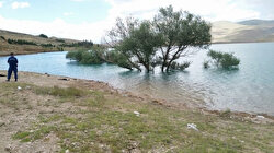 Kayseri'de Ağcaşar Baraj Gölü'nde toplu balık ölümleri iddiası