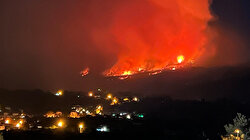 Muğla'da orman yangını: Kısa sürede kontrol altına alındı
