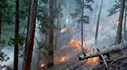 Denizli’de orman yangını: Dokuz saat sonra kontrol altına alındı