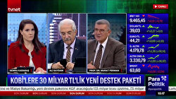 Parapolitik