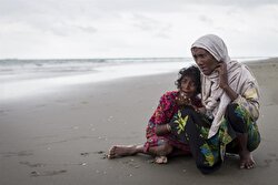 Rohingya Muslims fled from oppression in Myanmar