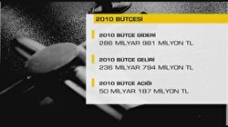 2010 yılı Bütçesi