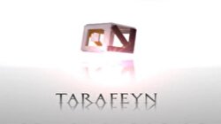 Tarafeyn