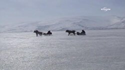 Ardahan’da Atlı Kızak Keyfi
