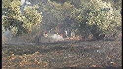 Üç bin yıllık kent alevlere teslim