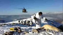 demokratıkleşmede nevar