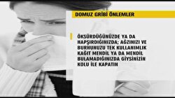 Domuz Gribi Salgını