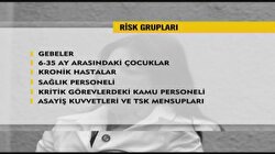 Domuz gribi aşısı Ekim'de Türkiye'de