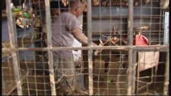 Filipinler'de Sel: 3 Milyon Kişi Evsiz Kaldı