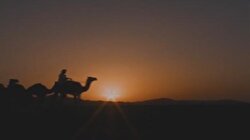 Hz Muhammed’in Hayatı Film Oluyor