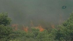 İzmir’de orman yangını
