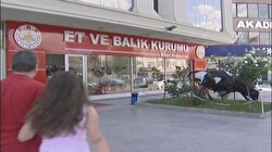 Kapıya teslim kurbanlık