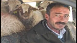 Kurban Bayramı