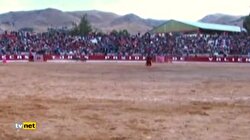 Matador ölümden döndü