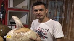 Ölü kabaklardan şaheser