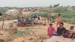 Pakistan’da insanlık dramı