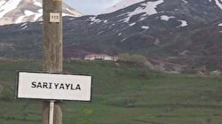 Sarıyayla Baskını