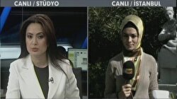 Domuz Gribi Salgını