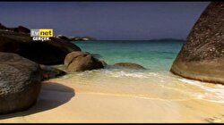 TVNET Naturel 11