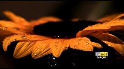 TVNET Naturel 14