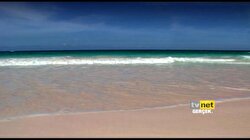 TVNET Naturel 16